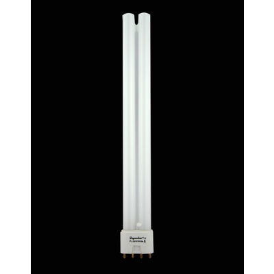 Degenbao Spare PL Aquarium Lamps (24 Watts) Spare Degenbao 24w Pl Bulb