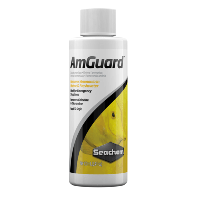 Seachem AmGuard 100 ML Seachem Amguard 100ml