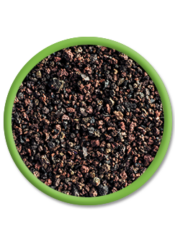 AquaForest Lava Soil