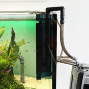 JBL Top Clean II Surface Skimmer