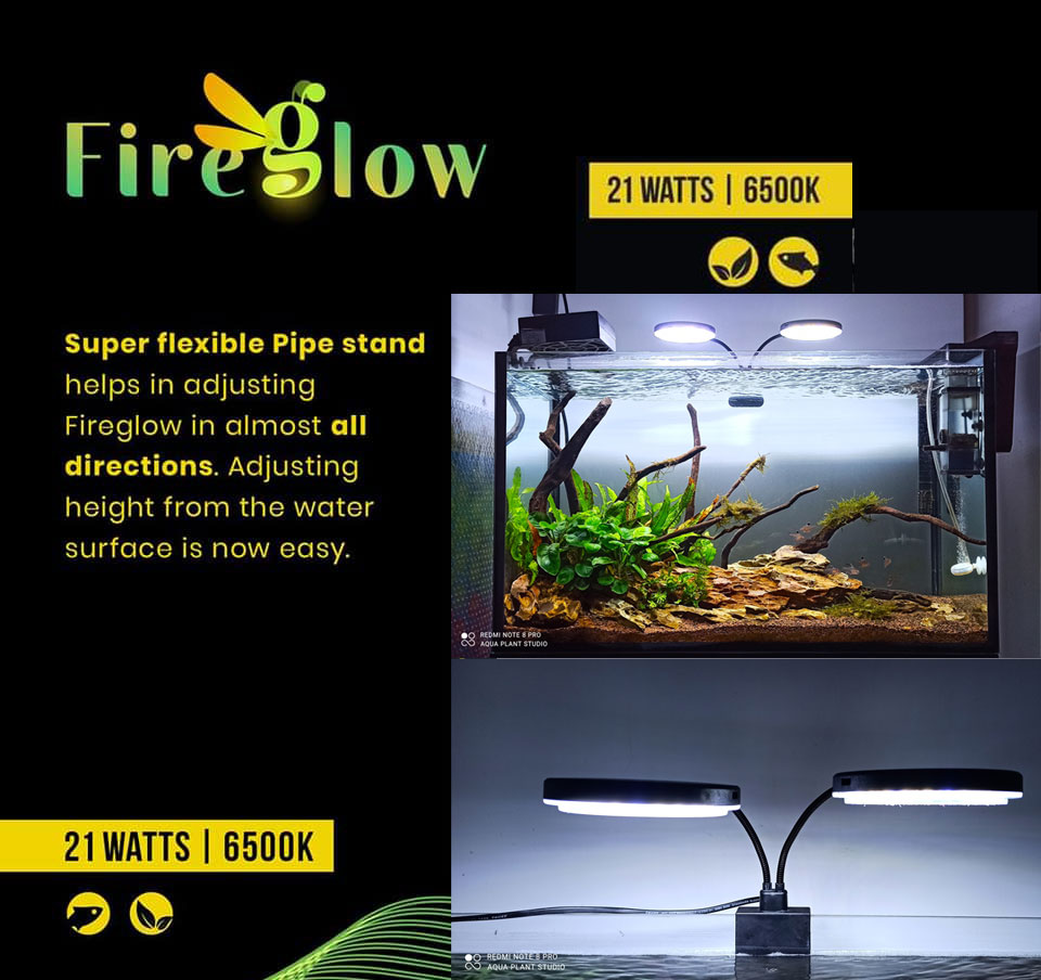 FireGlow-LED FireGlow LED