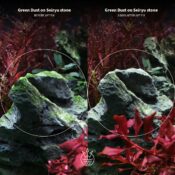 2Hr Aquarist APT Fix - Image 6