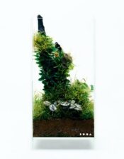 DOOA Neo Glass AIR W15×D15×H25 (cm) - Image 3