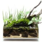 DOOA Neo Glass AIR W30×D18×H12 (cm)