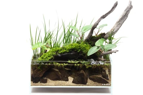 DOOA Neo Glass AIR W30×D18×H12 (cm) DOOA Neo Glass AIR W30×D18×H12 (cm)