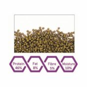 WA Flowerhorn Pro-Min Pellets | 500ml – 220g - Image 2