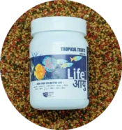 Life Aayu Food Tropical Treats – Large | 70gm