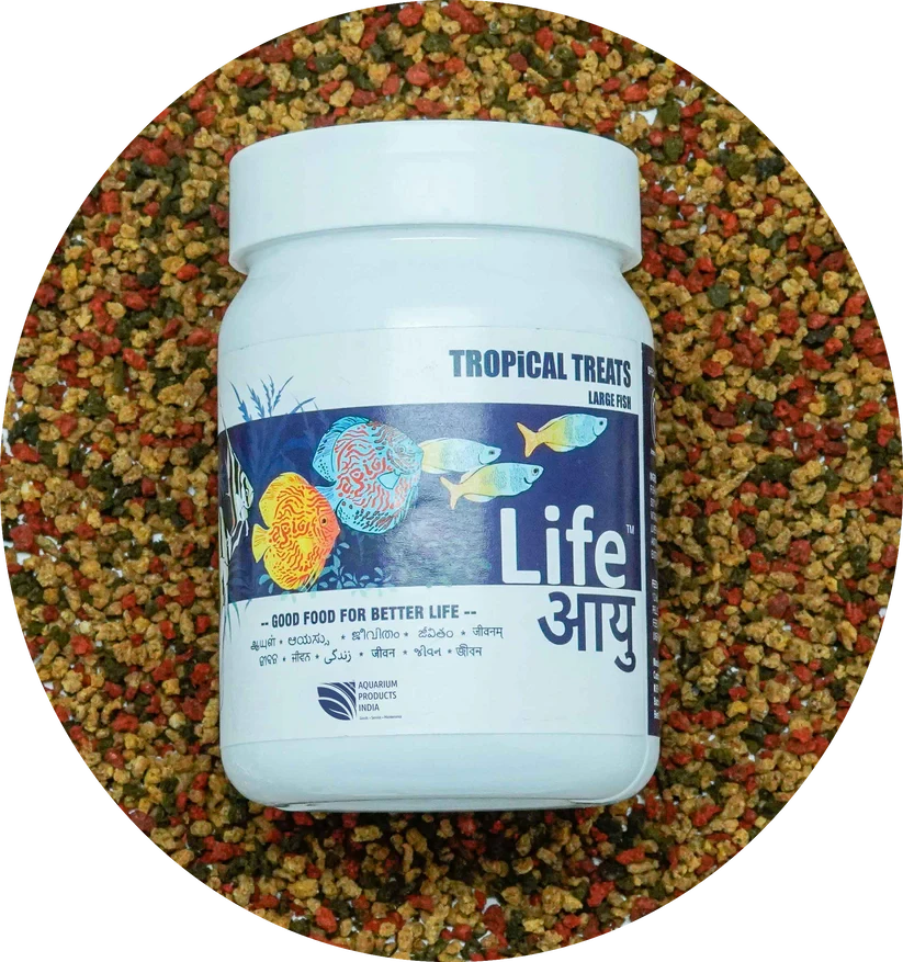 Life Aayu Food Tropical Treats – Large | 70gm Life Aayu Food Tropical Treats – Large | 70gm