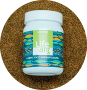 Life Aayu Food Baby Bites | 30gm - Image 2