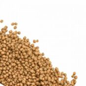 BUGS-IN Goldfish Formula | 100g - Image 2