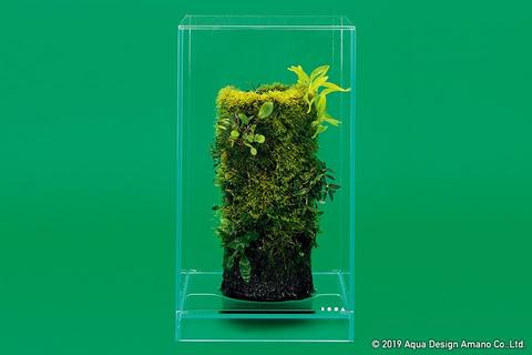 DOOA Neo Glass AIR W15×D15×H25 (cm) DOOA Neo Glass AIR W15×D15×H25 (cm)