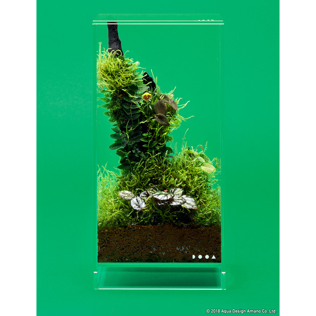 DOOA Neo Glass AIR W15×D15×H30 (cm) DOOA Neo Glass AIR W15×D15×H30 (cm)