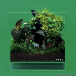 DOOA Neo Glass AIR W20×D20×H20 (cm)