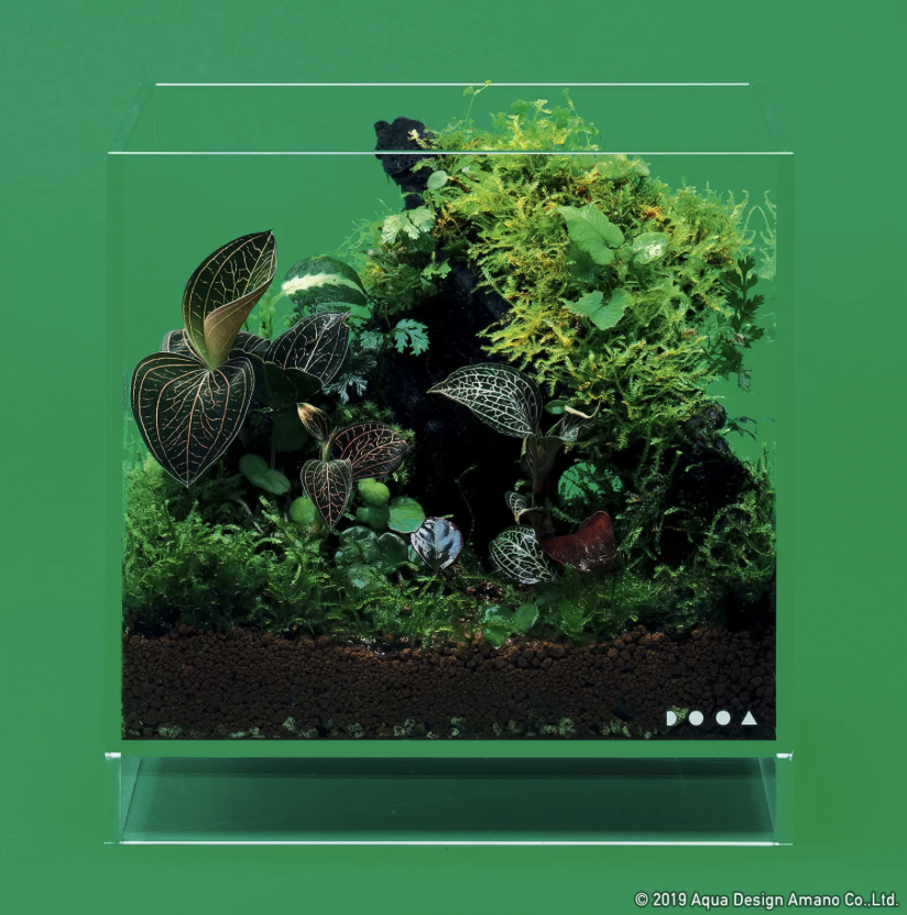 DOOA Neo Glass AIR W20×D20×H20 (cm) DOOA Neo Glass AIR W20×D20×H20 (cm) - Image 1