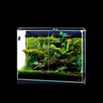 DOOA SYSTEM PALUDA 60