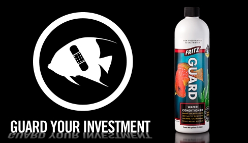 Fritz Aquatics Online