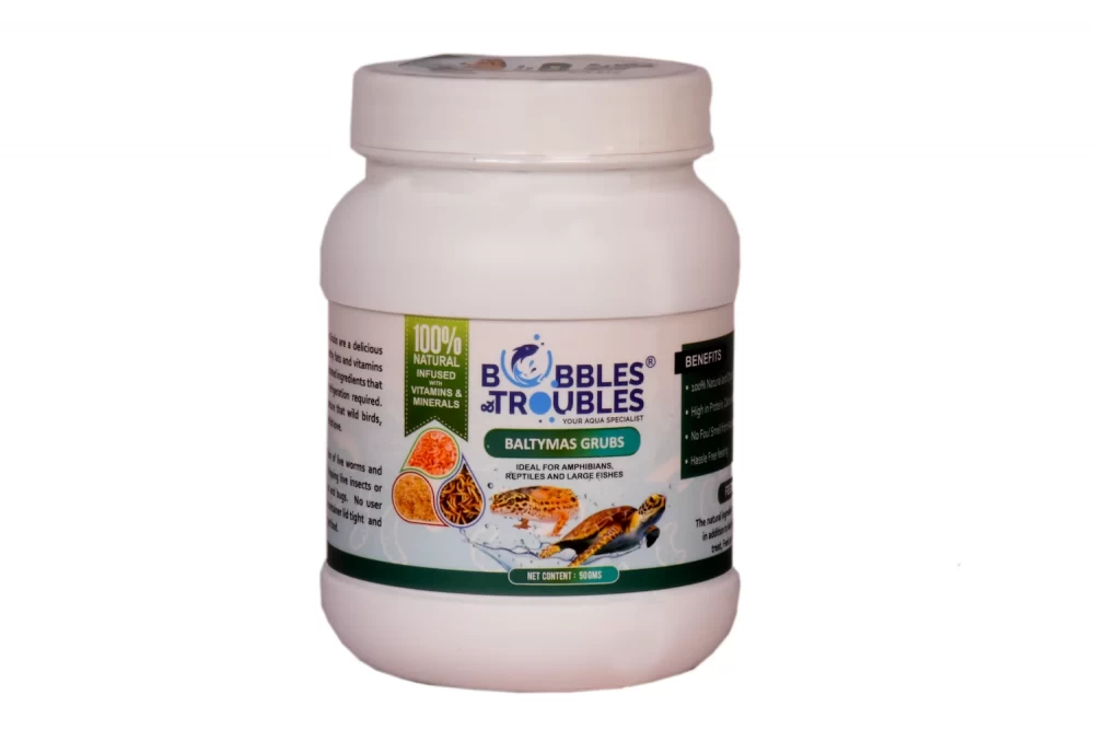 Baltymas Grubs_63513696f18a9.webp Baltymas Grubs_63513699c7a20.webp