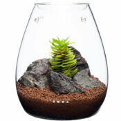 DOOA Glass Pot SHIZUKU - Image 2