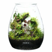 DOOA Glass Pot SHIZUKU - Image 9