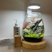 DOOA Glass Pot SHIZUKU - Image 11