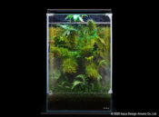 DOOA System PALUDA 30 - Image 5