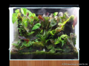 DOOA System PALUDA 60 - Image 9