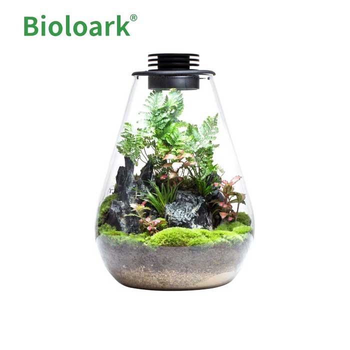BIOLOARK-Bio-Bottle-SD-200 BIOLOARK Bio Bottle SD-200
