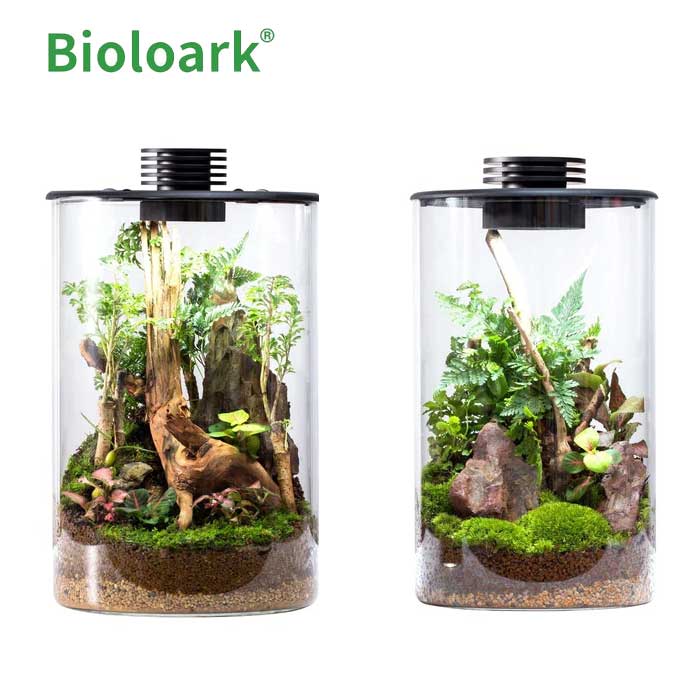BIOLOARK-Bio-Bottle-Terrarium-ZD-150-ZD-200 BIOLOARK-Bio-Bottle-Terrarium-ZD-150-ZD-200