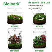 BIOLOARK Luji Glass Cup - Image 4