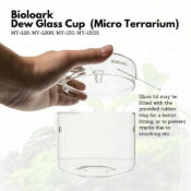 BIOLOARK Luji Glass Cup - Image 8
