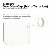 BIOLOARK Luji Glass Cup - Image 9