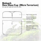 BIOLOARK Luji Glass Cup - Image 10