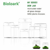 BIOLOARK Luji Glass Cup - Image 11