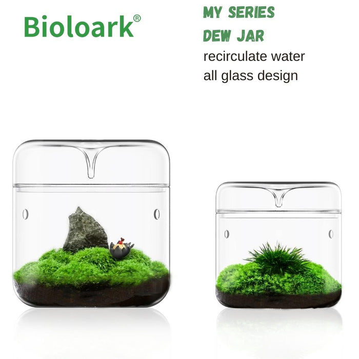 BIOLOARK Dew Glass Cup (Micro Terrarium) MY Series_6368f4a12be8e.jpeg BIOLOARK Luji Glass Cup