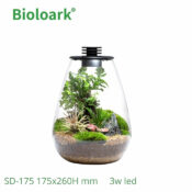 BIOLOARK Bio Bottle SD-200 Tear Drop Terrarium - Image 4