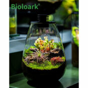 BIOLOARK Bio Bottle SD-200 Tear Drop Terrarium - Image 7