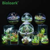 BIOLOARK Bio Bottle SD-200 Tear Drop Terrarium - Image 8