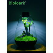 BIOLOARK Bio Bottle SD-200 Tear Drop Terrarium - Image 2
