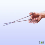 Pro Series Curved Scissors - Image 4