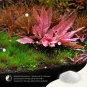 2Hr Aquarist APT SKY - Image 6