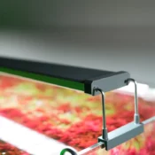 Chihiros B Series LED Lighting System