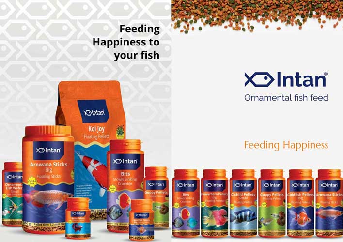 Intan Fish Foods