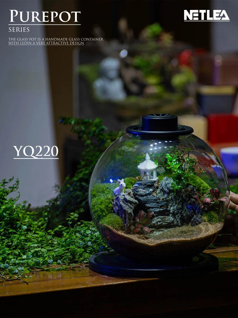 Netlea Purepot Series Terrarium bowl YQ220_64cc922d8bd61.jpeg Netlea Purepot Terrarium bottle YQ220