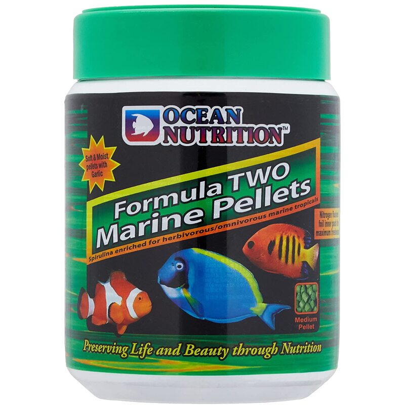 Ocean Nutrition Formula 2 Marine Pellet Small 100 Gm_65156d89e1a0f.jpeg Ocean Nutrition Formula Two Marine Pellet Small 100 Gm - Image 1