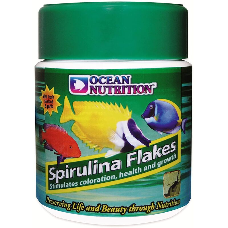 Ocean Nutrition Spirulina Flake 156 Gm_65156d916f571.jpeg Ocean Nutrition Spirulina Flake 156 Gm - Image 1