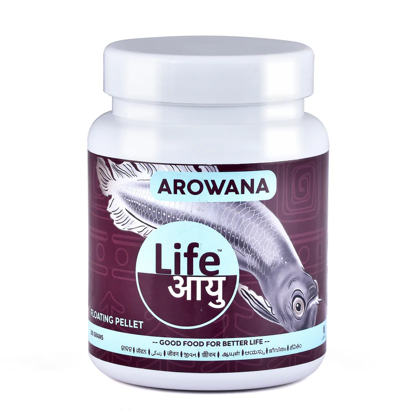 Life Aayuh Arowana 300gm Life Aayuh Arowana 300gm - Image 1