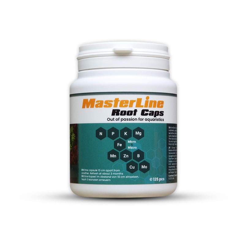 Masterline-Root-Caps-60-Pcs Masterline Root Caps 60 Pcs