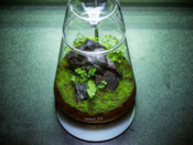 LEDSTAR AQ DOT-2 With Dew Collection Jar - Image 8