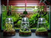 LEDSTAR AQ DOT-2 With Dew Collection Jar - Image 9