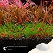 2Hr Aquarist APT SKY Plus - Image 3